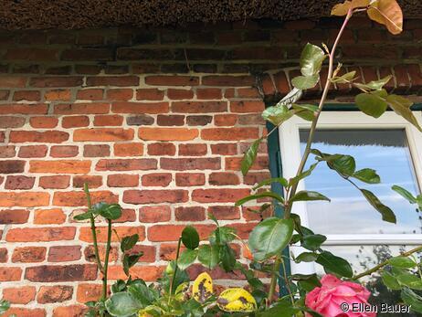 Intaktes Mauerwerk (Stein 21/ 4,5/10) von 1820, da Mörtel und Stein bauphysikalisch von ähnlicher Konsistenz sind