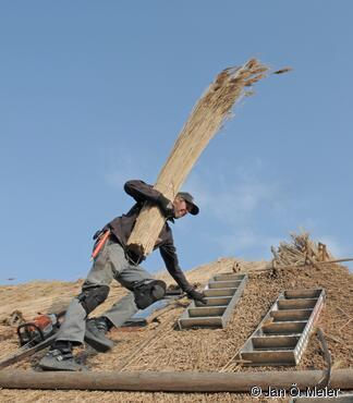 Der „Lauf- und Stehbalken“ (ein Rundholz) wird mit Punterhaken befestigt