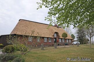 Geesthardenhaus, Struckum. Firstabdeckung mit Heidekraut. Typisch für historische Gebäude auf der Geest und am Geestrand. In der Marsch kannte man Sodenfirste. Das Stechen von Soden aus dem Vorland ist heute nicht mehr gestattet