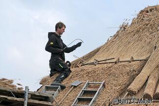 Heidekraut für die Firsteindeckung. Früher aus einem benachbarten Stück Geest, heute (Naturschutzgebiet!) aus einem Anbau in der Lüneburger Heide